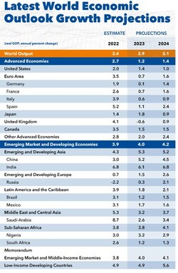 세계 경제 및 국가별 경제성장률 전망 [IMF 자료 캡처]
