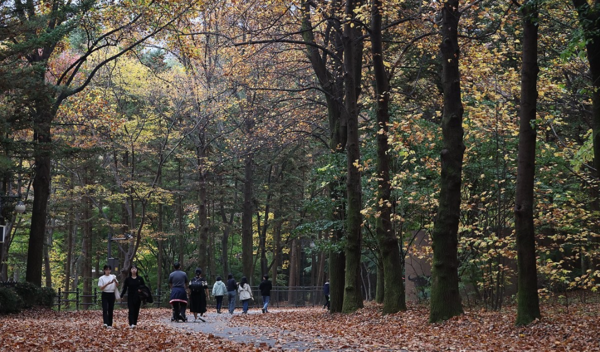 1일 오후 경기 과천시 서울대공원에서 시민들이 산책을 즐기고 있다. [사진=연합뉴스]