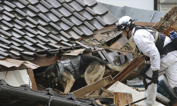 일본 경찰관과 구조견이 3일 지진으로 무너진 이시카와현 와지마시의 주택을 수색하고 있다. [사진=연합뉴스]