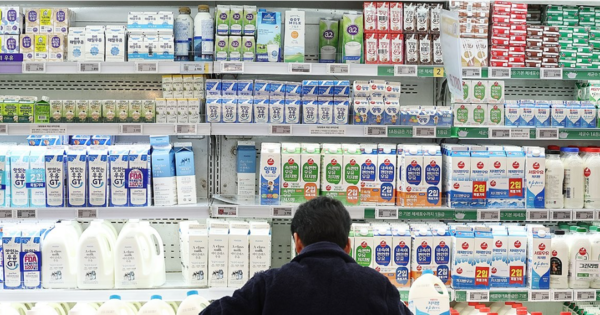 지난 12일 오후 서울 시내의 한 대형마트에서 직원이 우유를 정리하고 있다. [사진=연합뉴스]